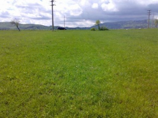 Vom putea cumpăra pământ cu avans de doar 10%